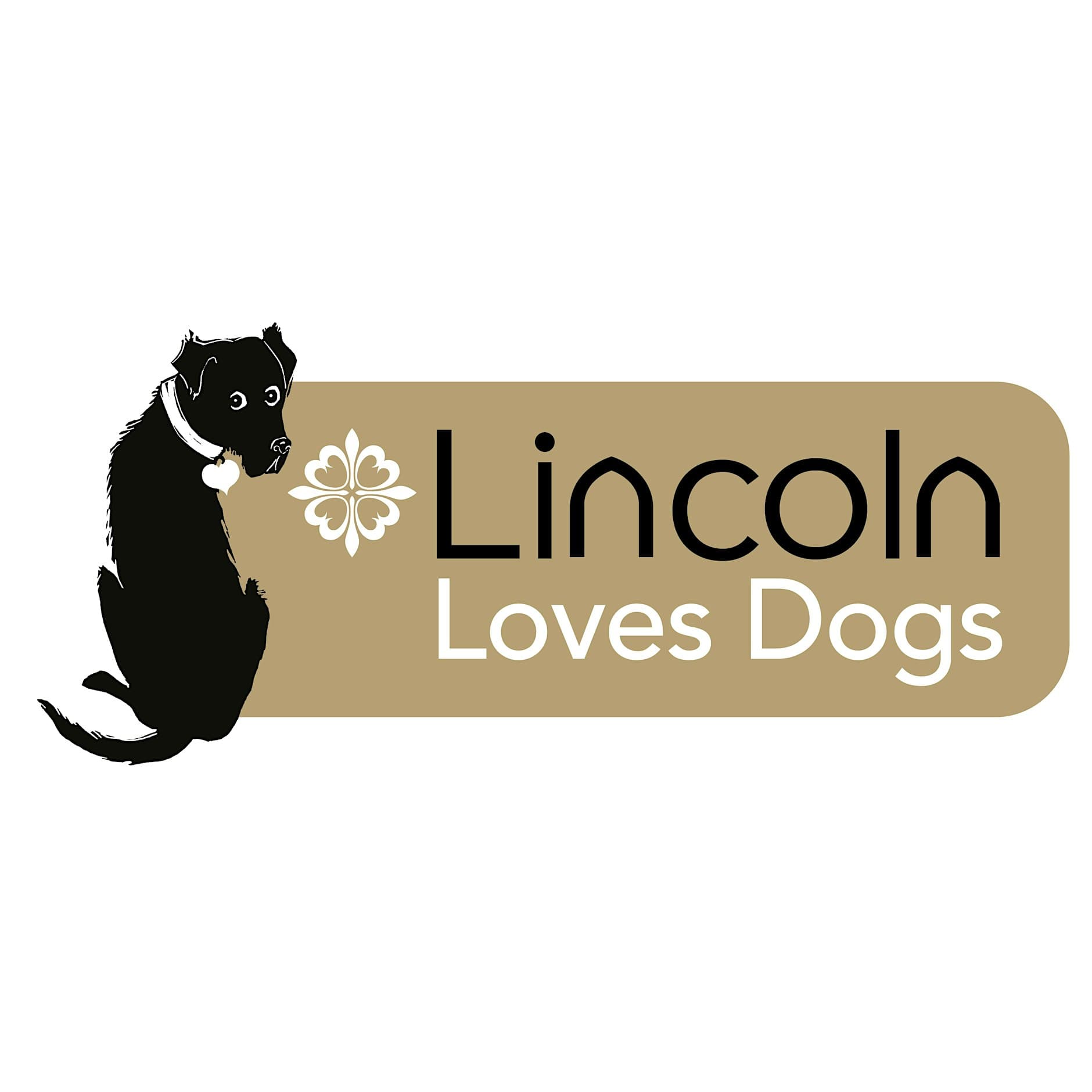 Lincoln Loves Dogs: Dogs on The Lawn